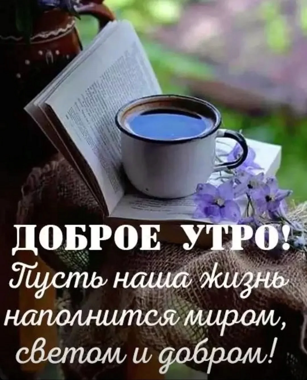 Добро утро и хорошего дня и настроения