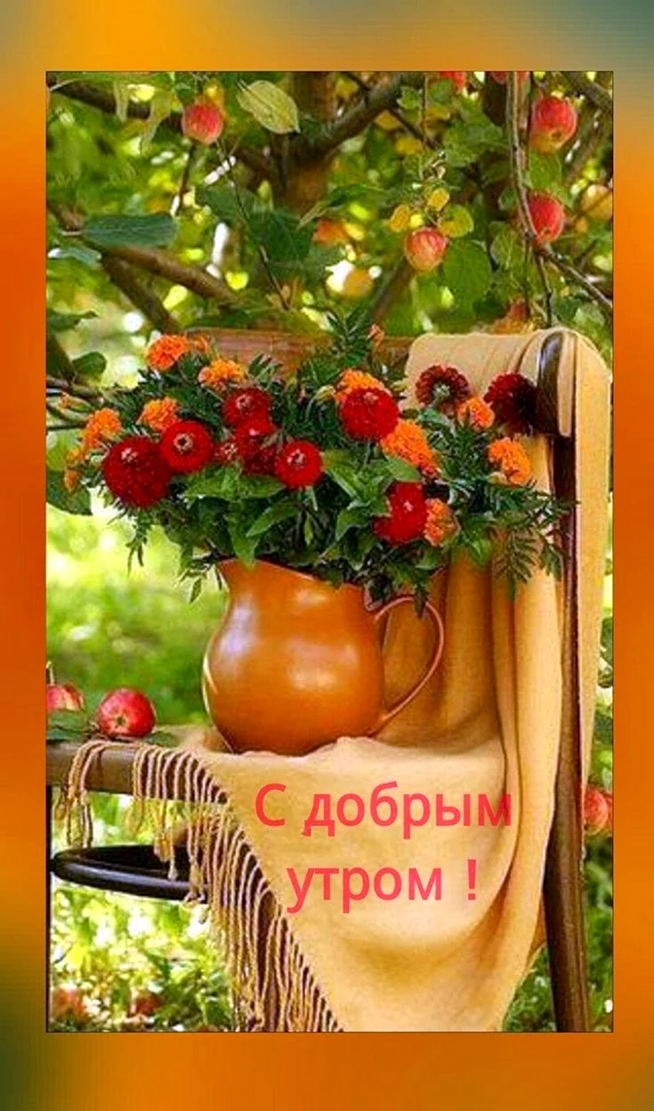 Доброе августовское утро