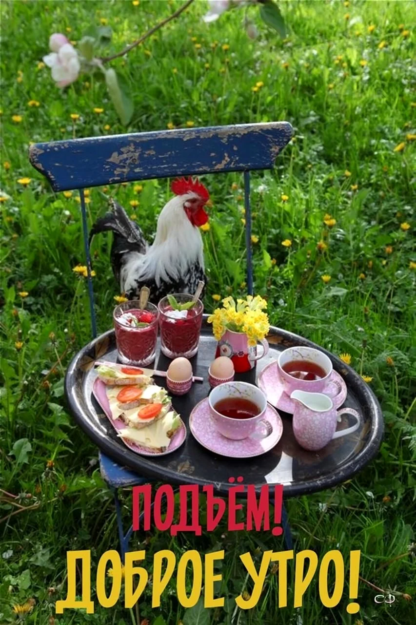 Доброе деревенское утро