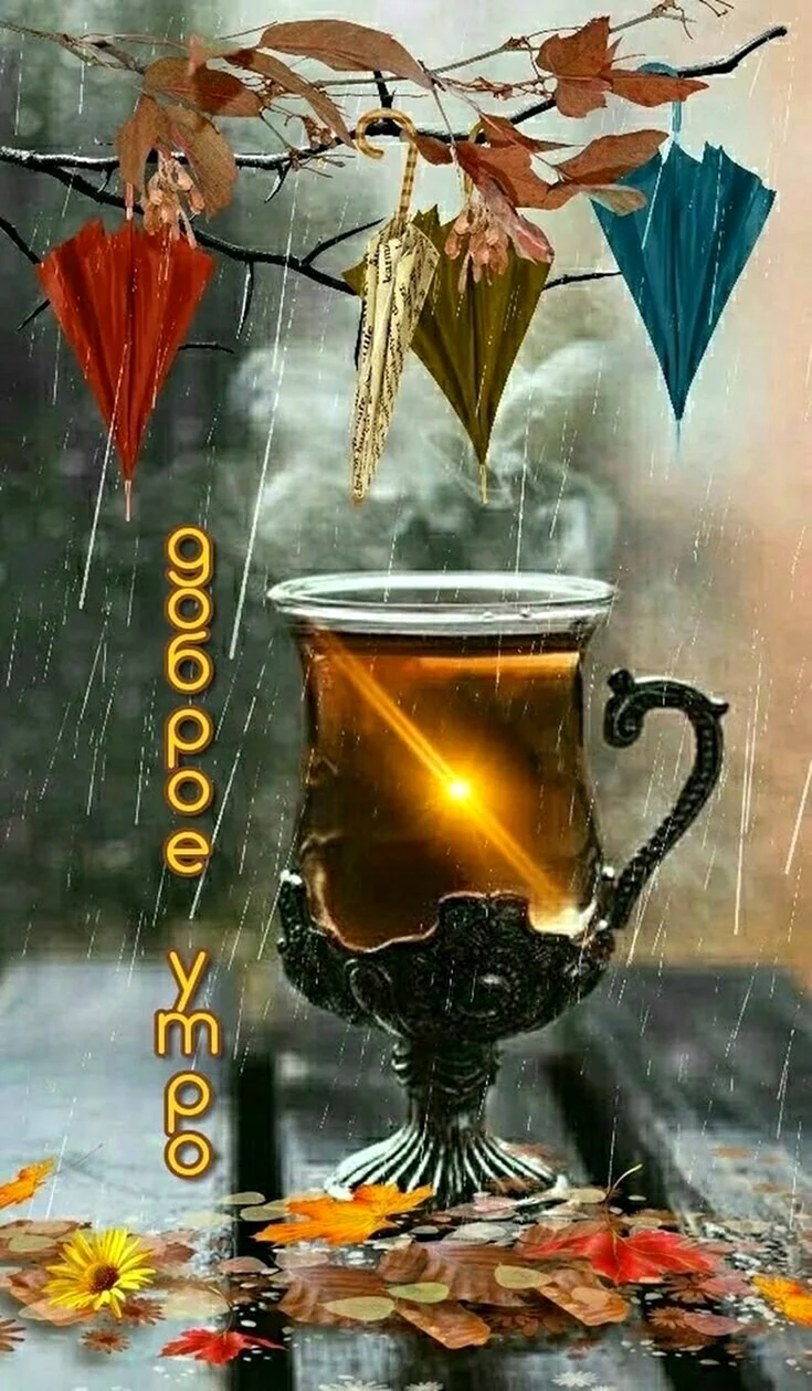 Доброе дождливое утро