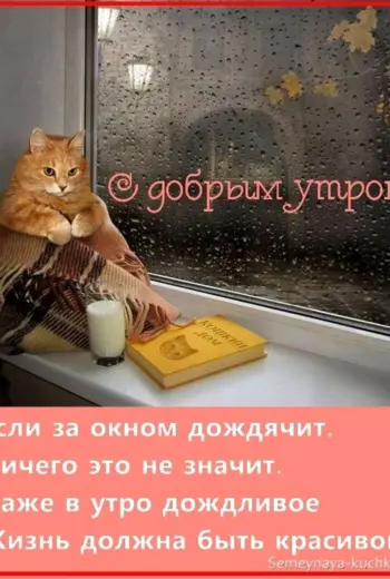 Доброе дождлтвого утро