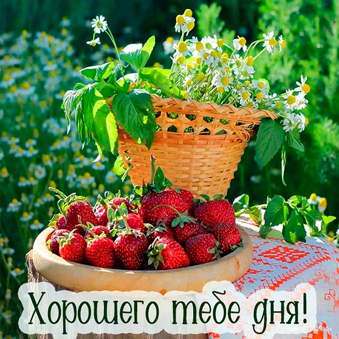 Доброе летнее утро
