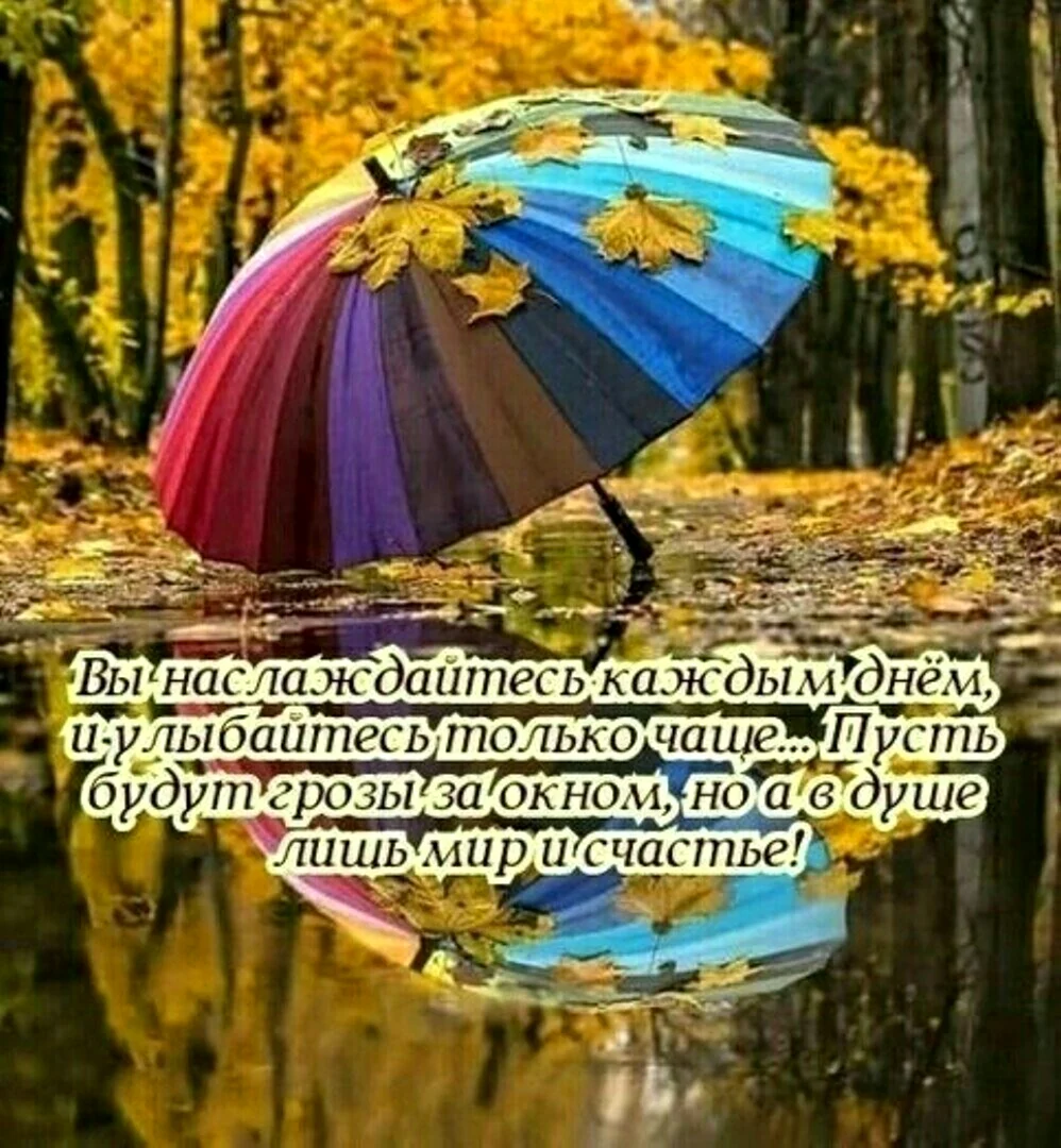 Доброе осеннее утро цитаты
