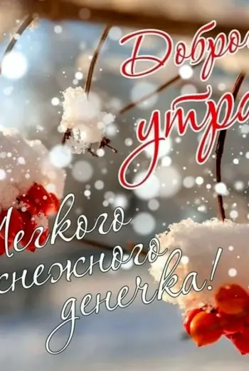 Доброе Снежное утро