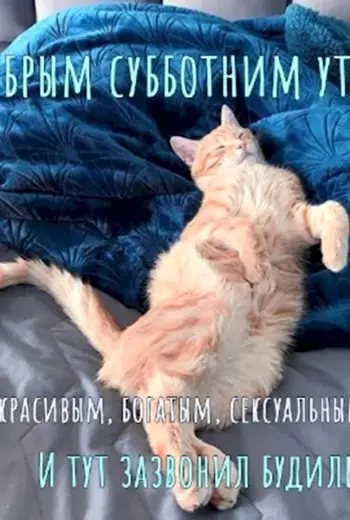 Доброе субботнее утро