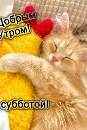 Доброе субботнее утро