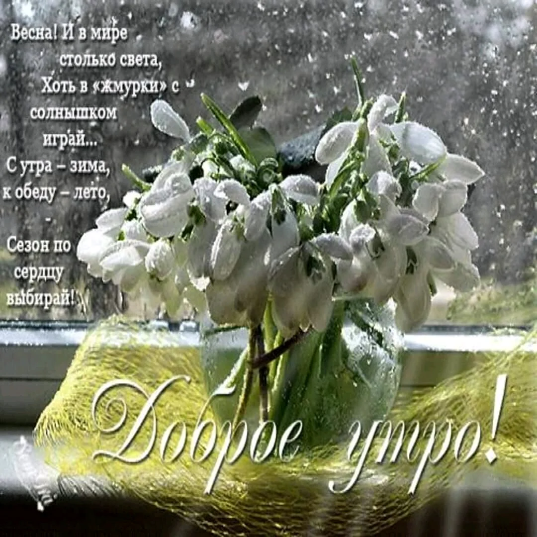 Доброе у РО С Подснежн ками
