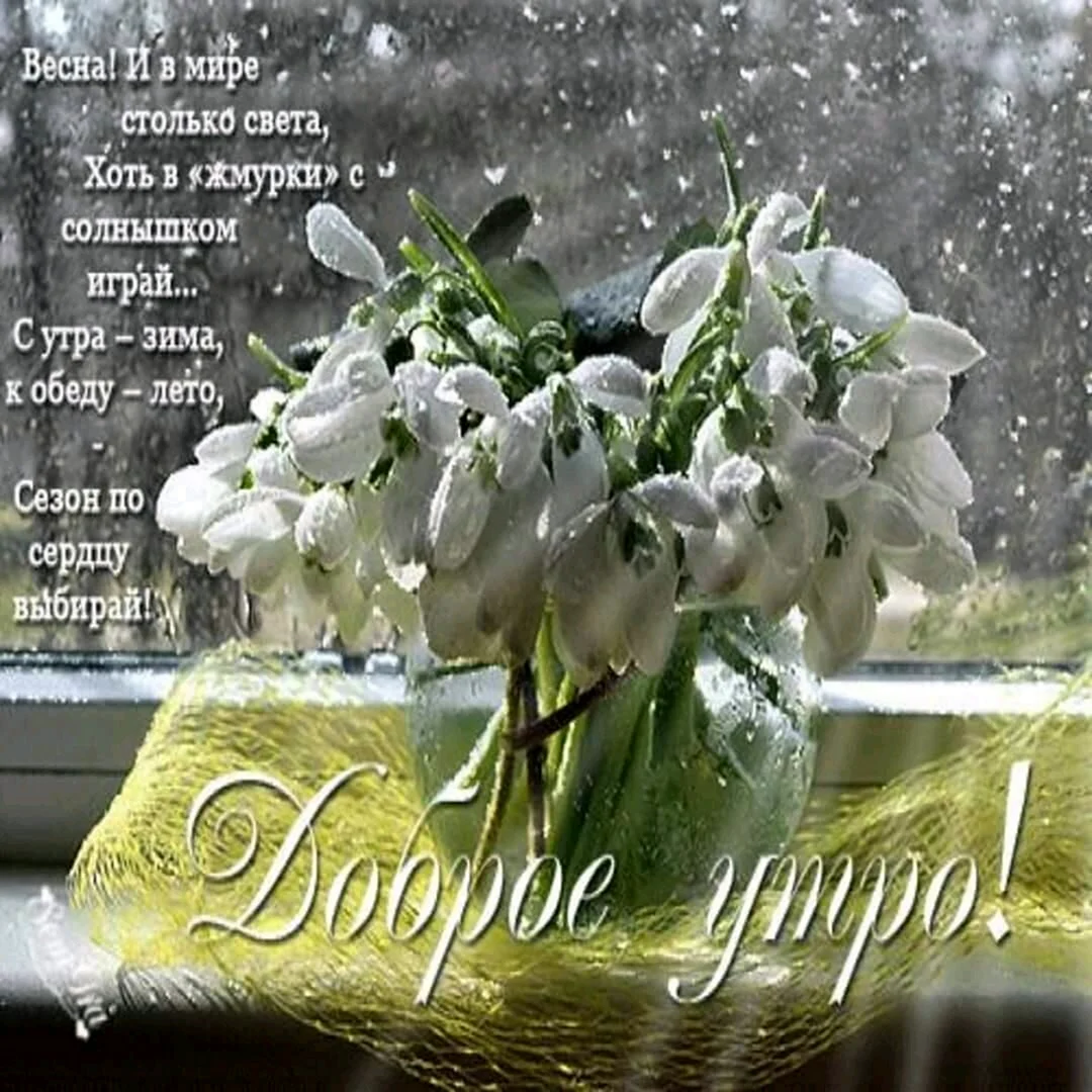 Доброе у РО С Подснежн ками