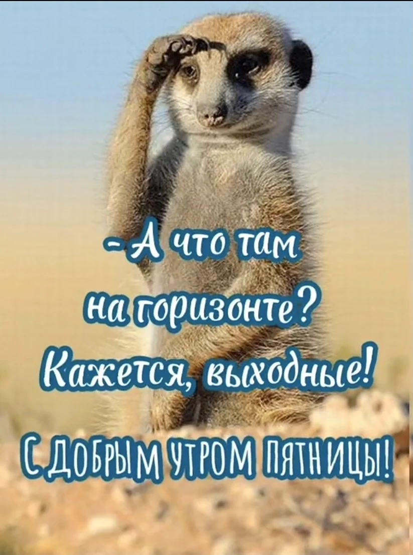 Доброе утречко прикольные