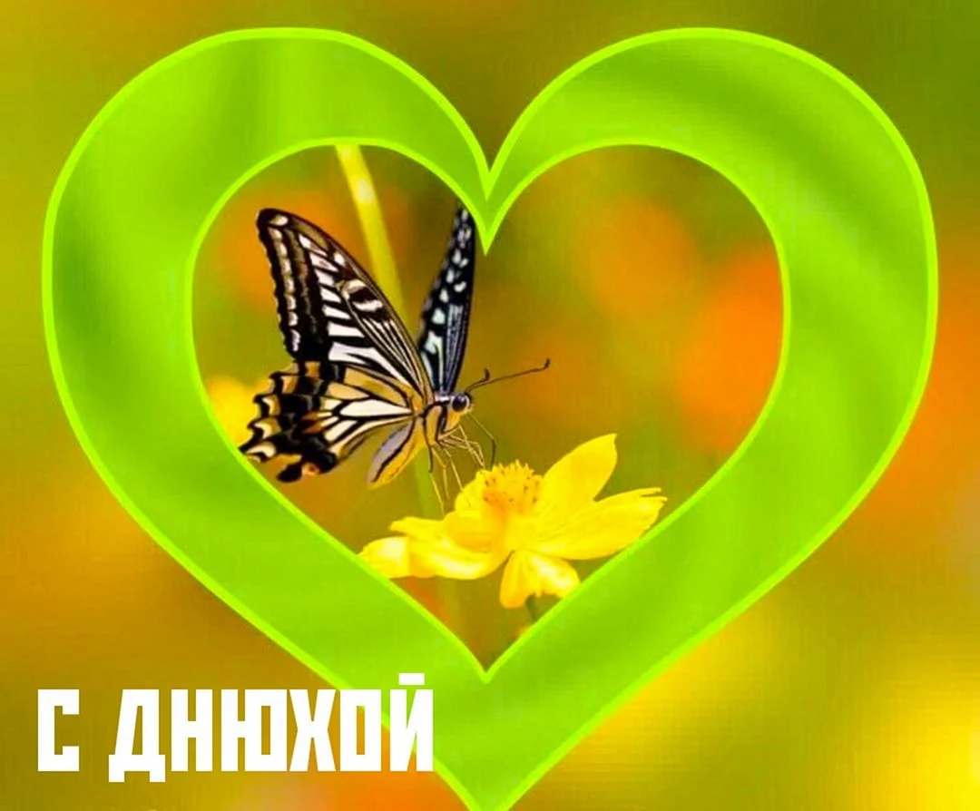 Доброе утро бабочки