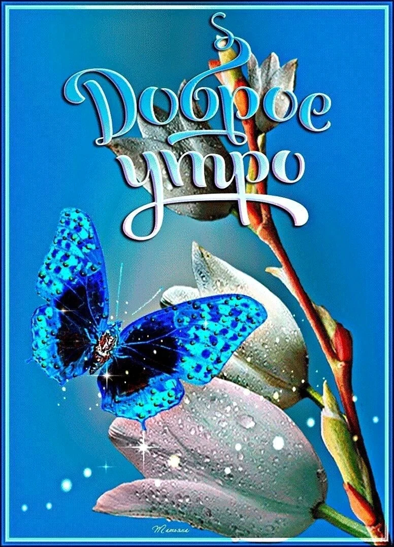 Доброе утро бабочки