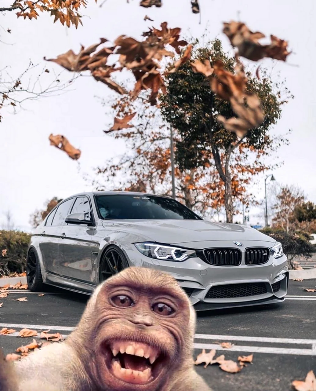 Доброе утро банда