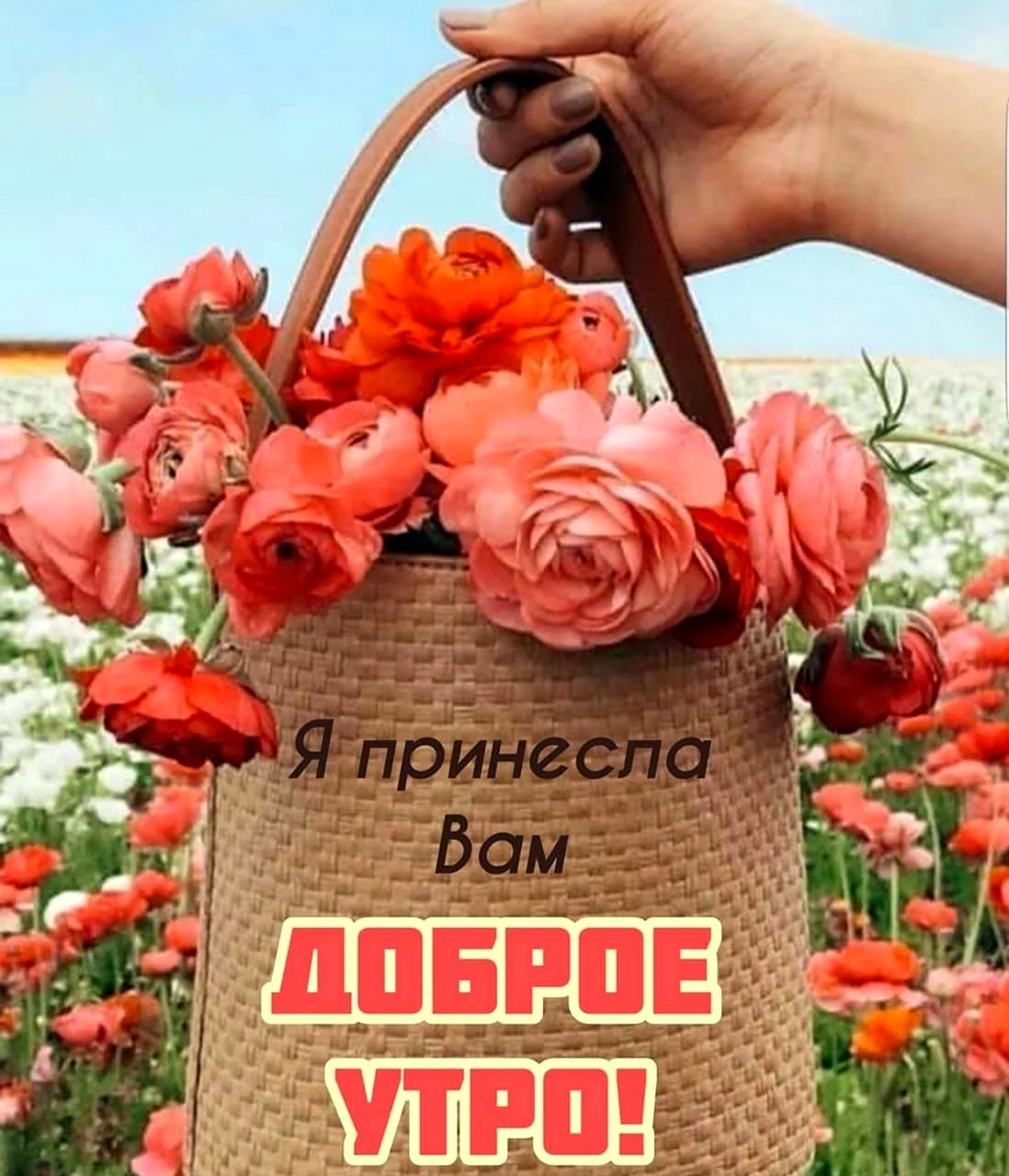Доброе утро берегите СН бя