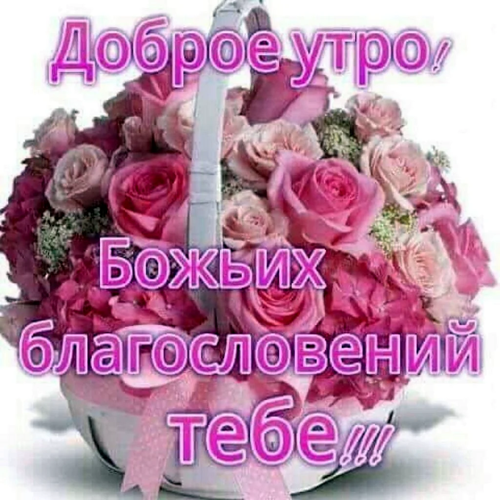Доброе утро благословенного дня