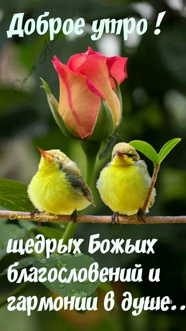 Доброе утро Божьих благословений