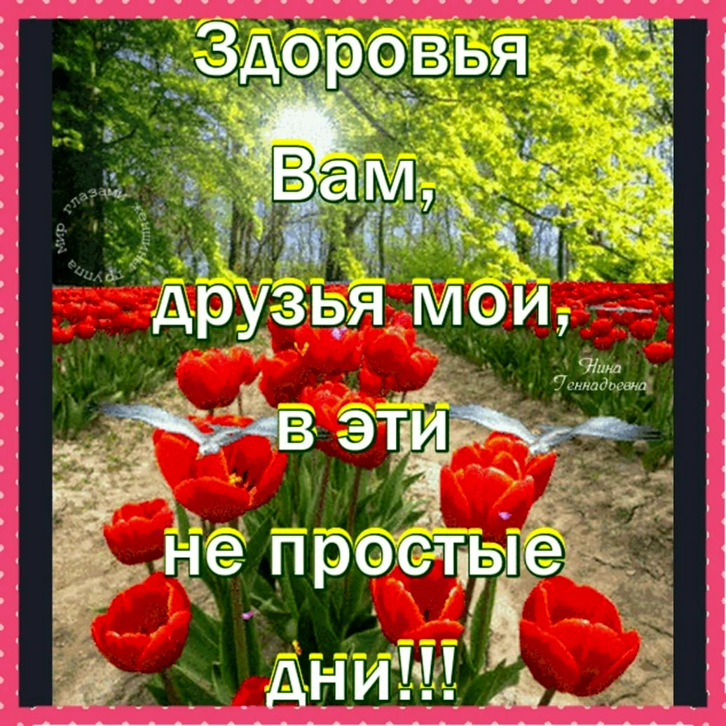 Доброе утро будьте здоровы и Богом хранимы