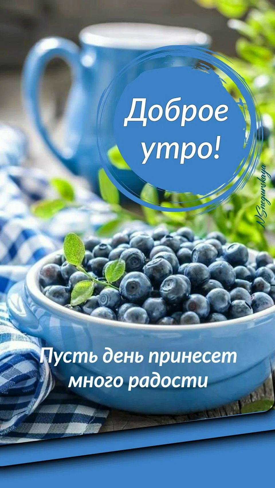 Доброе утро черника