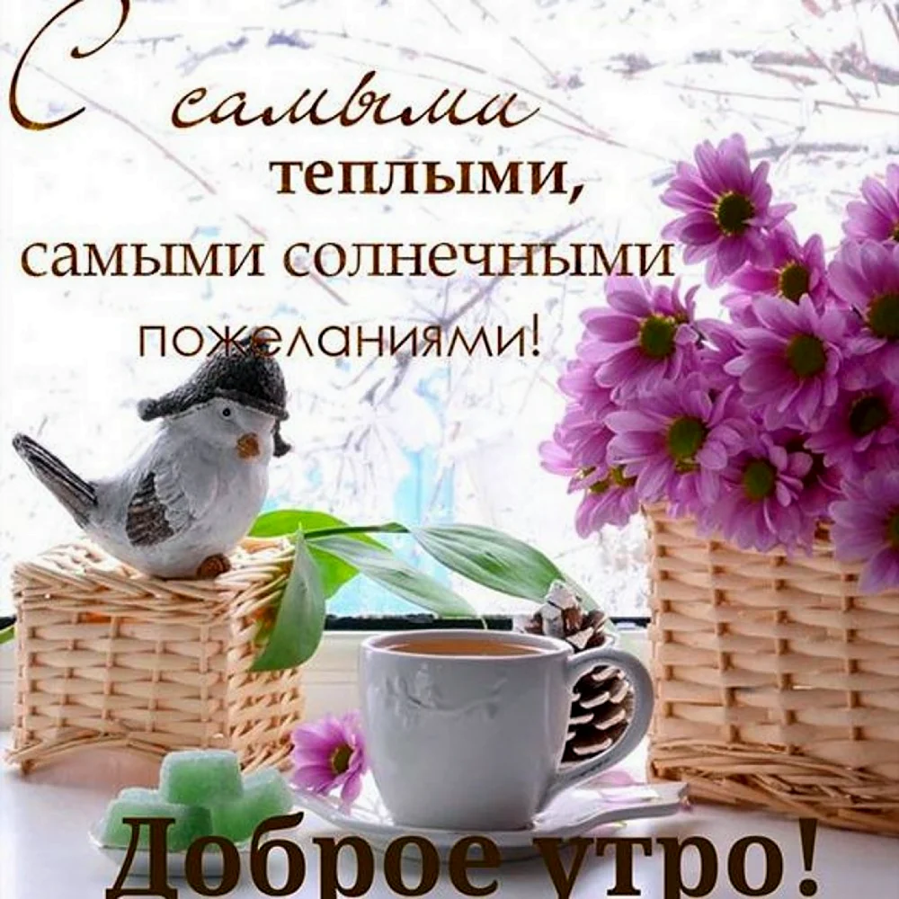 Доброе утро чудесного дня
