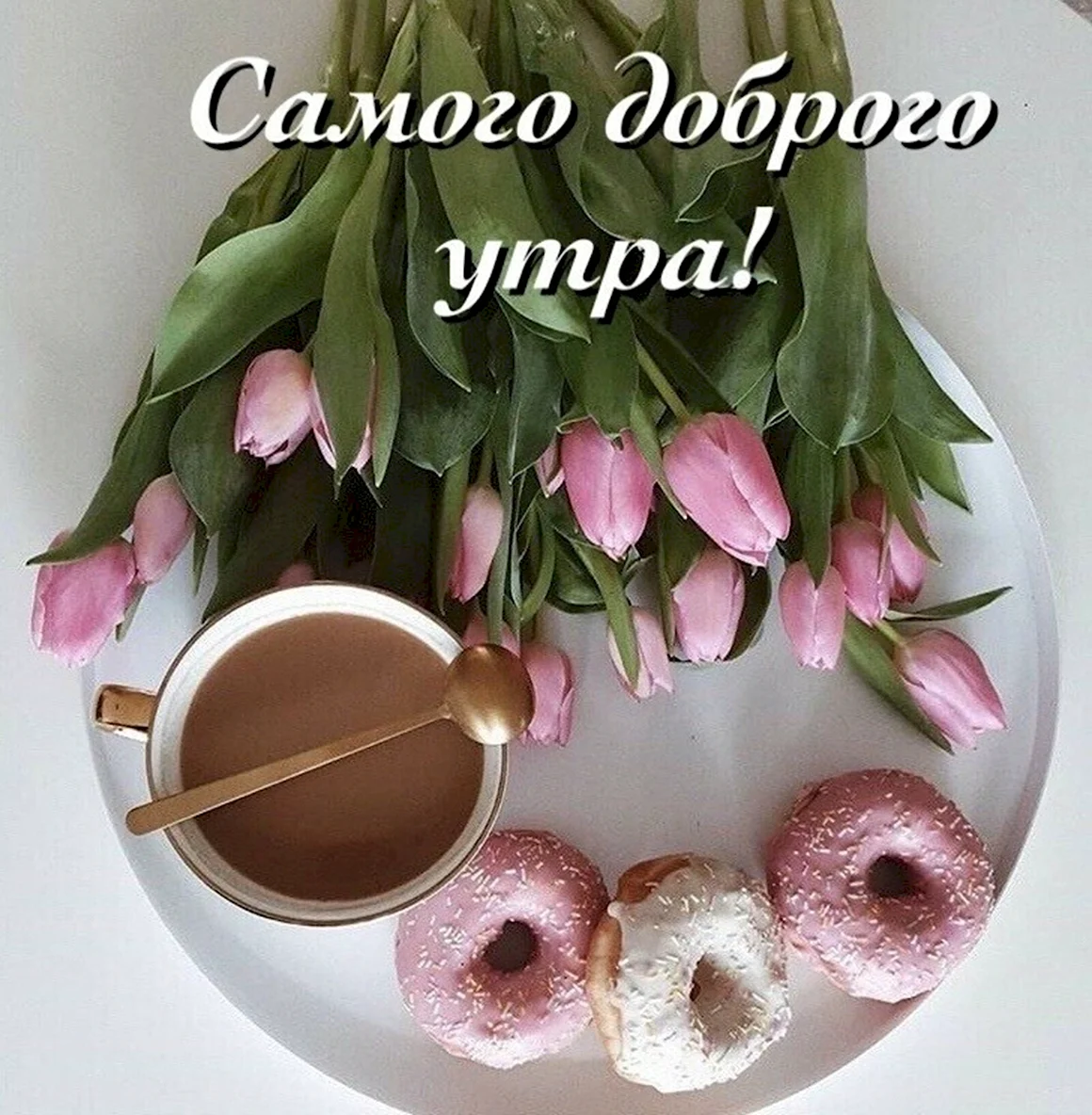 Доброе утро и отличного настроения