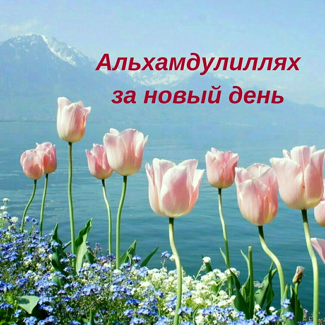 Доброе утро Ислам