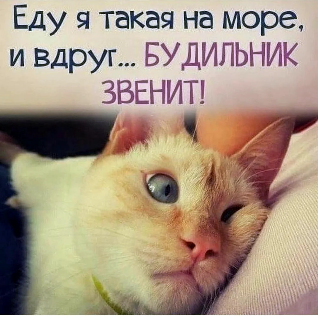Доброе утро юмор