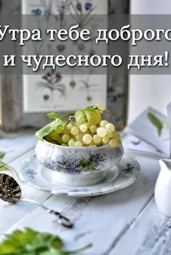 Доброе утро картинки дачные с надписями