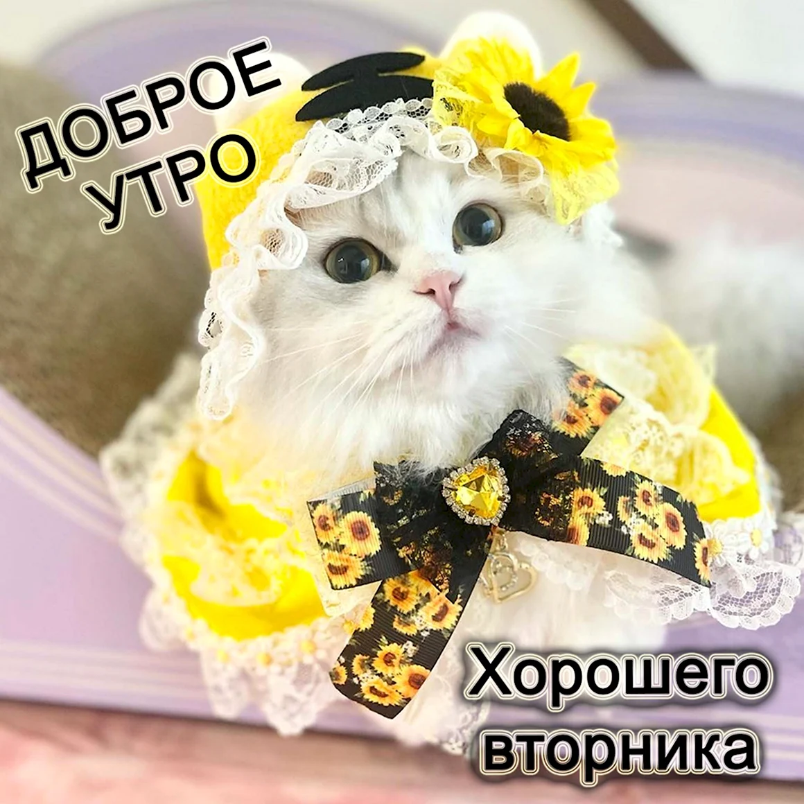 Доброе утро картинки позитивные