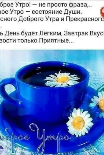 Доброе утро хорошего дня высказывания