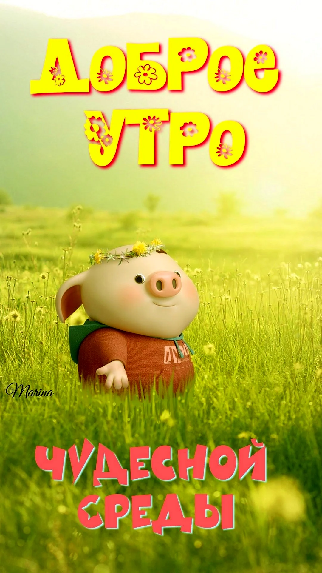 Доброе утро хрюшка