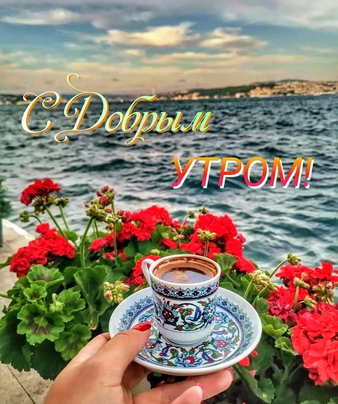 Доброе утро коллекции