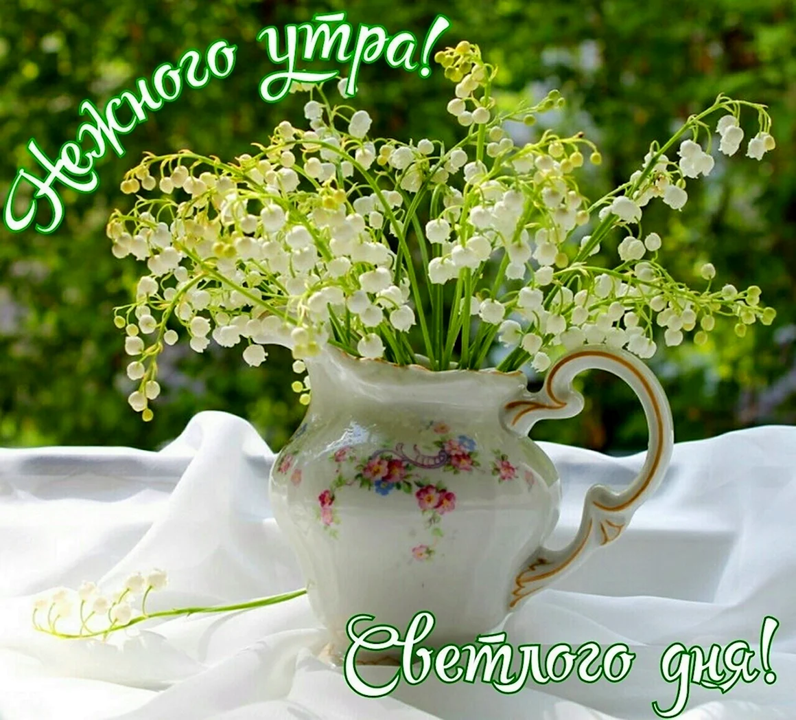 Доброе утро Ландыши