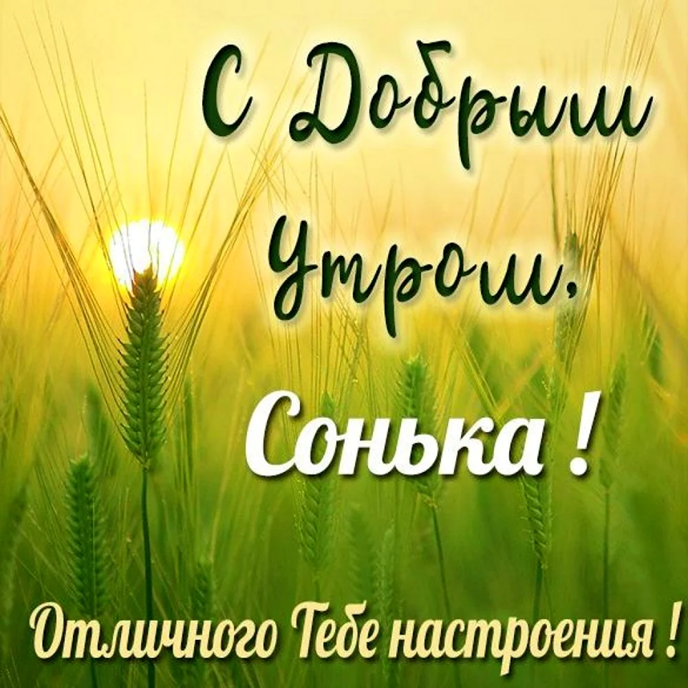 Доброе утро Леночка
