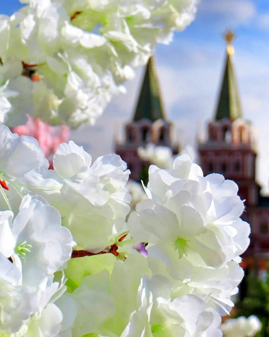 Доброе утро Москва