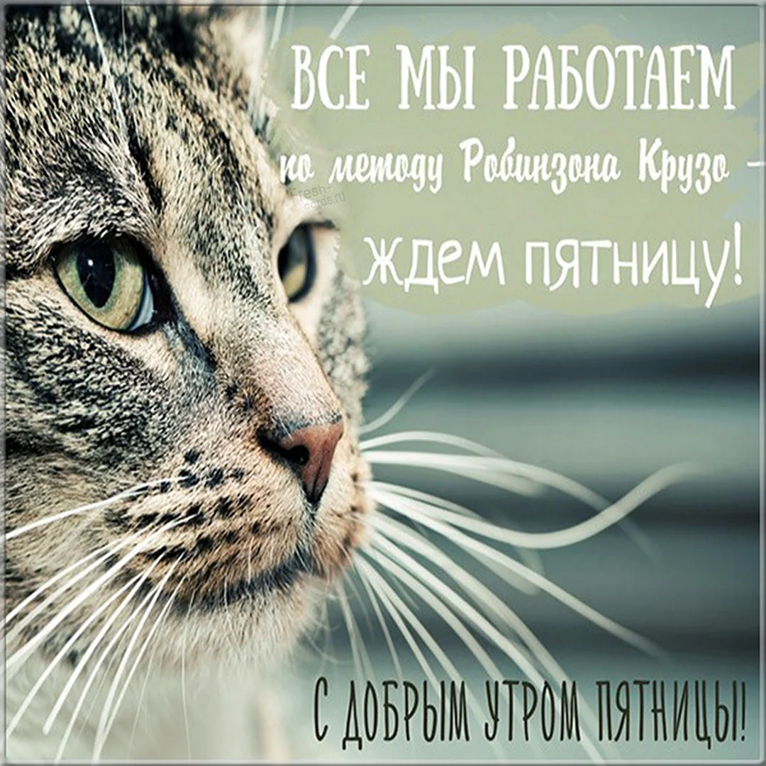 Доброе утро пятница картинки красивые