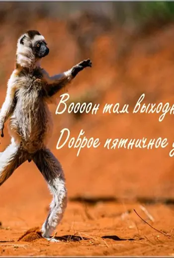 Доброе утро пятницы