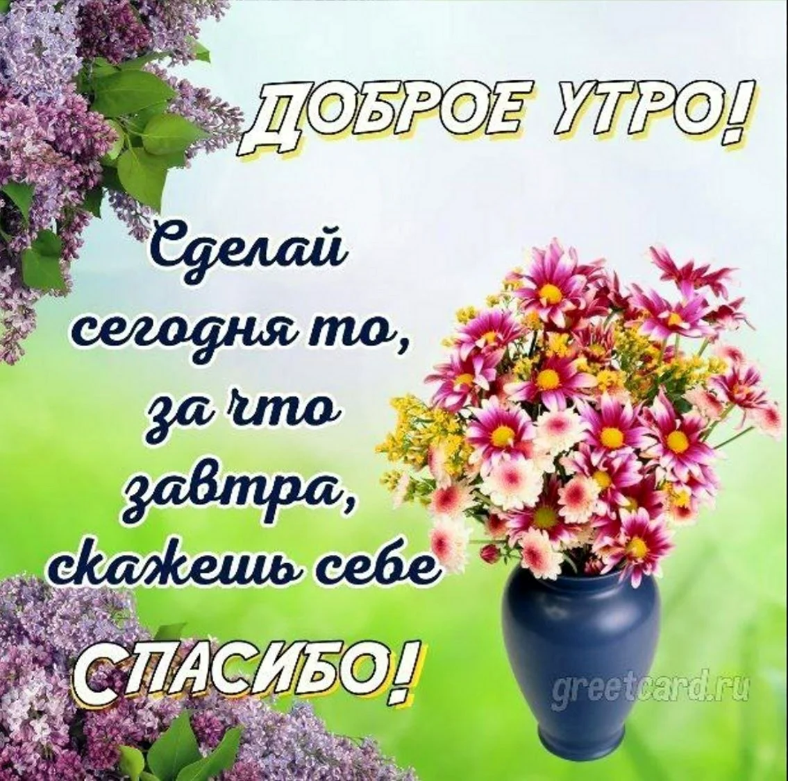 Доброе утро прекрасного дня