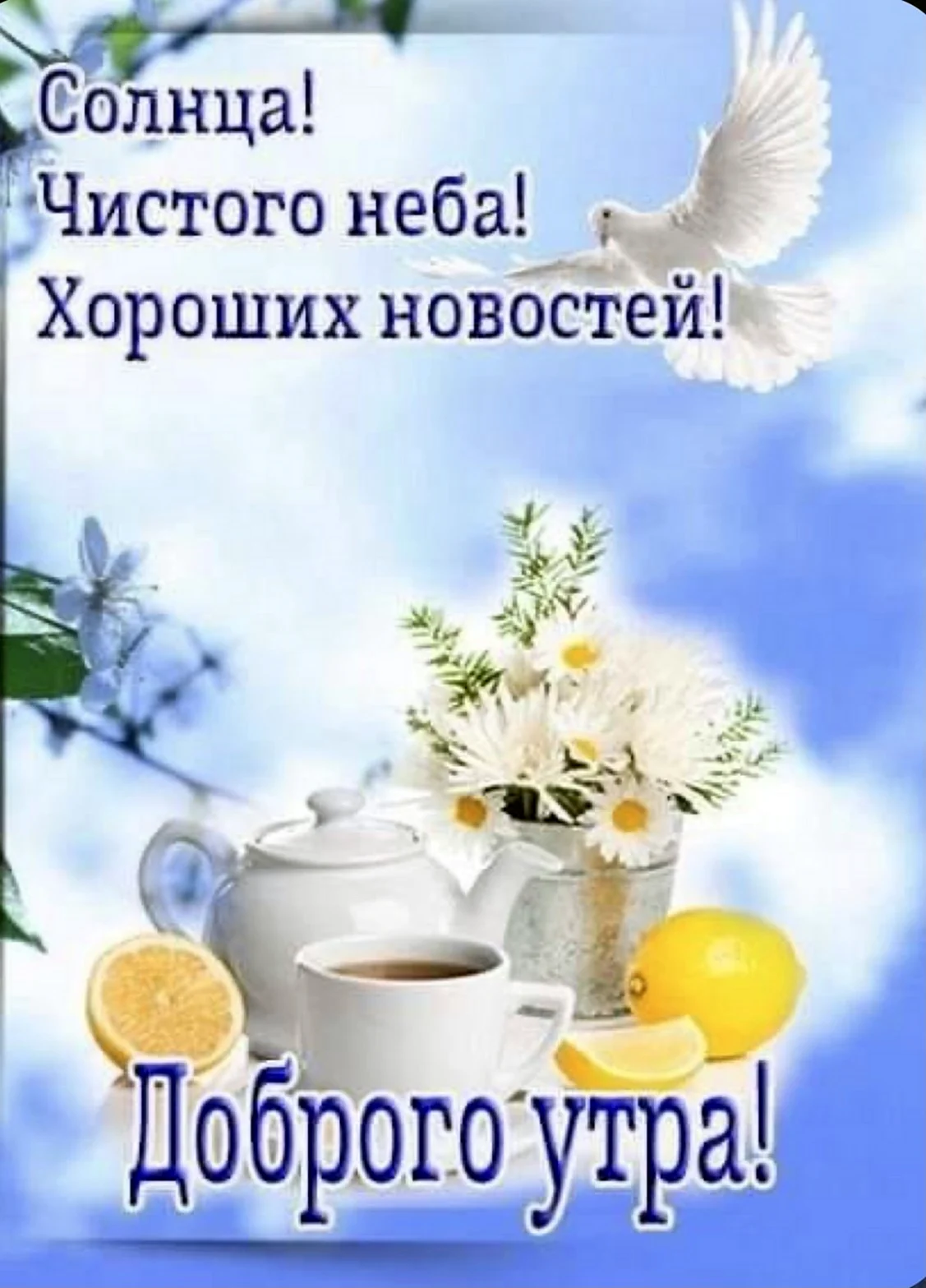 Доброе утро прекрасного дня