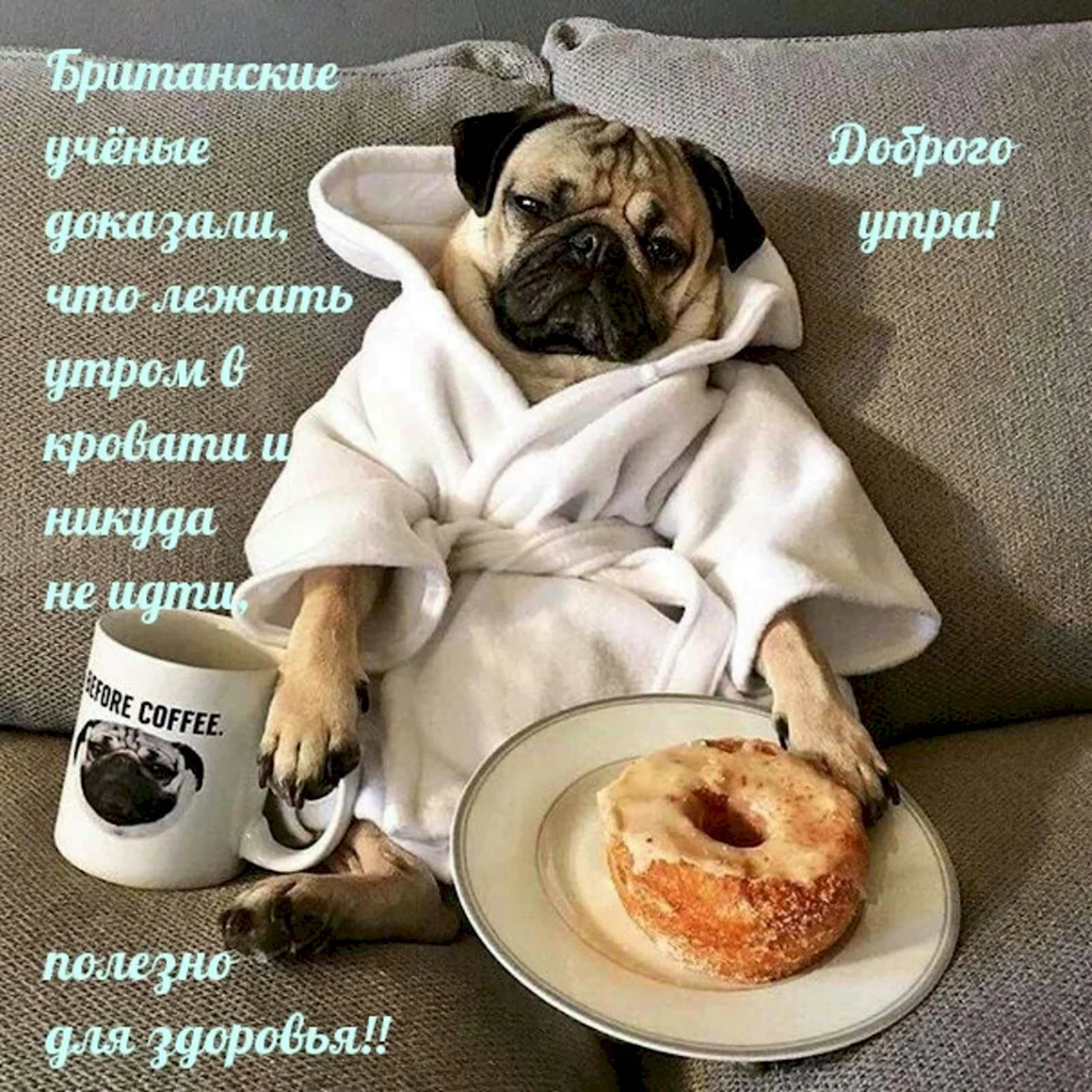 Доброе утро прикол