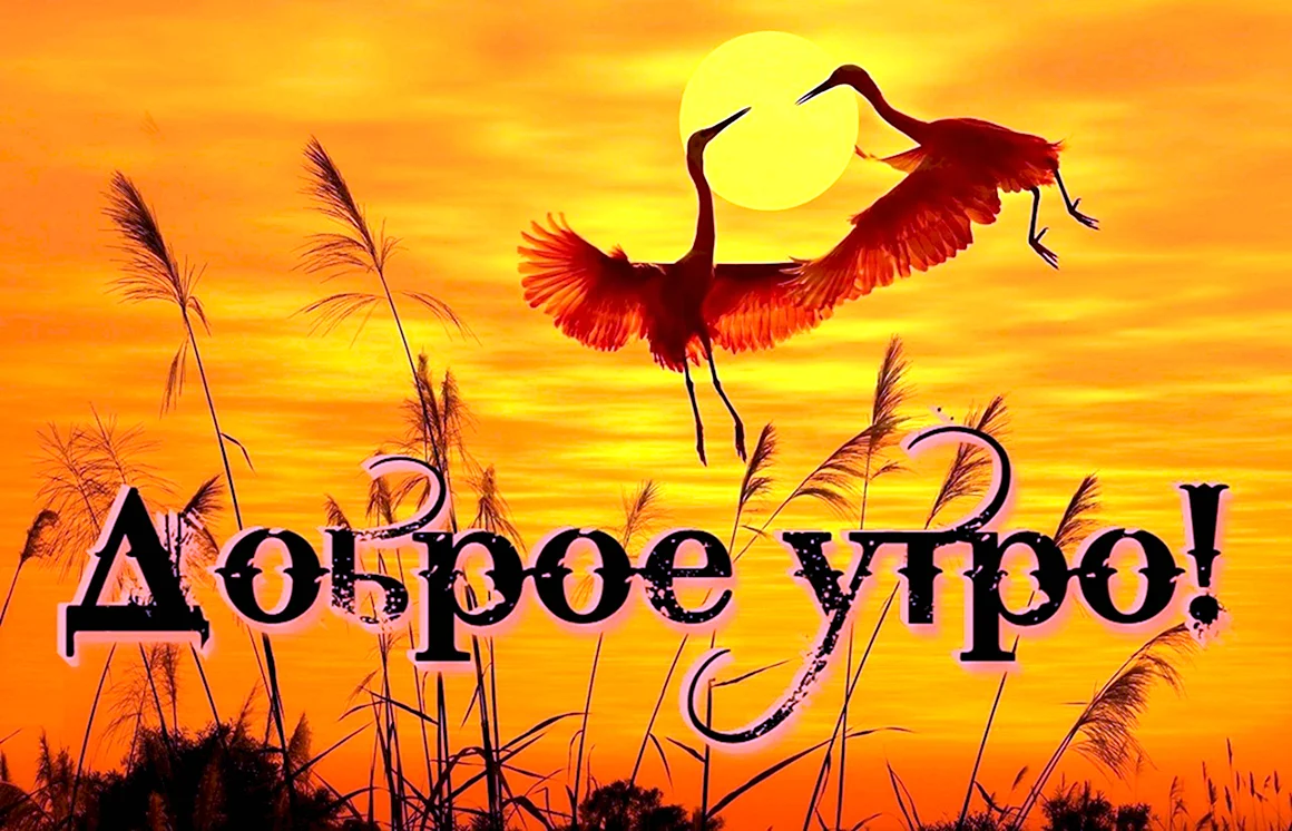 Доброе утро рассвет с надписью