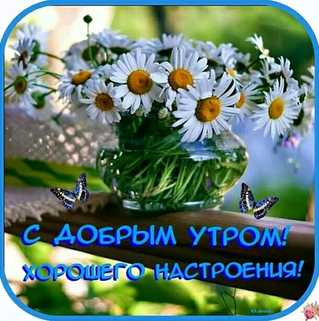 Доброе утро ромашки