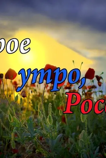 Доброе утро Россия