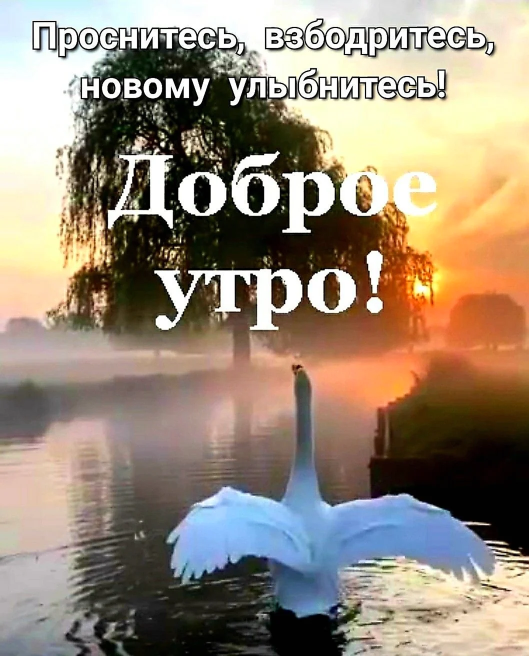 Доброе утро с Богом