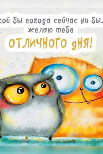 Доброе утро смешные