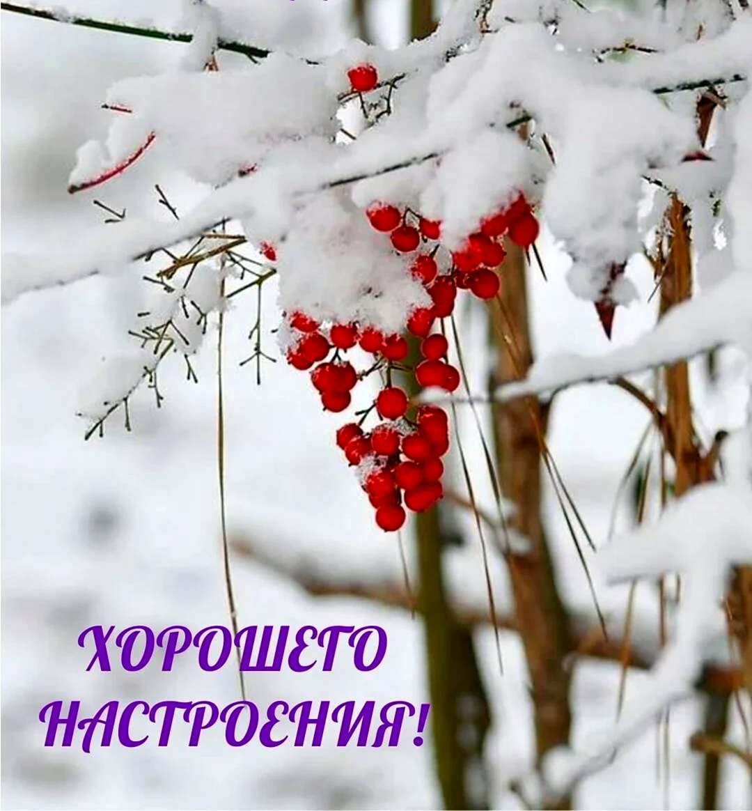 Доброе утро снег