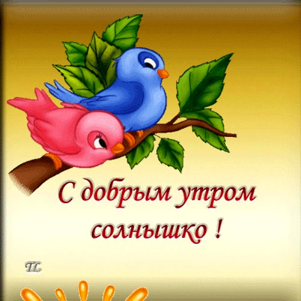 Доброе утро солнышко