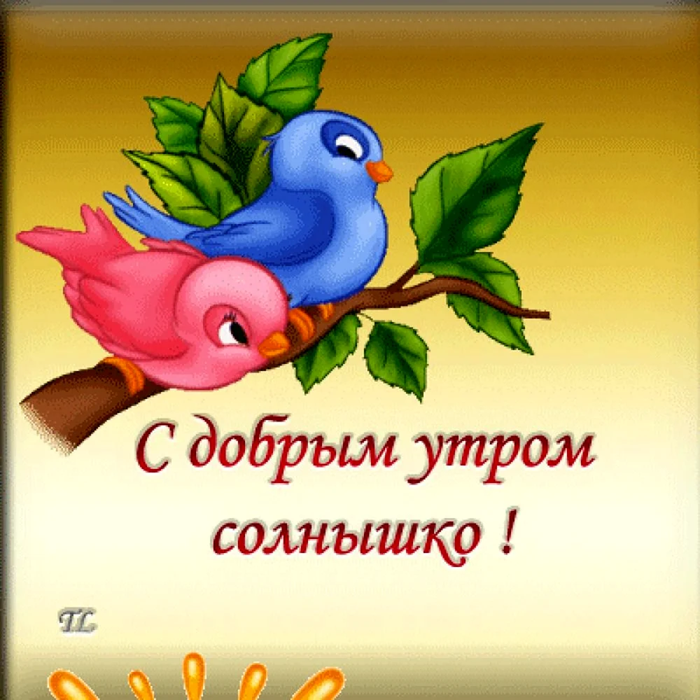 Доброе утро солнышко