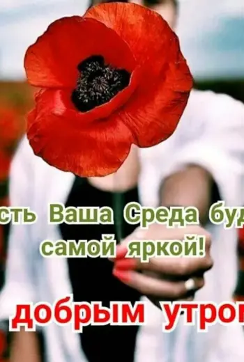 Доброе утро ср