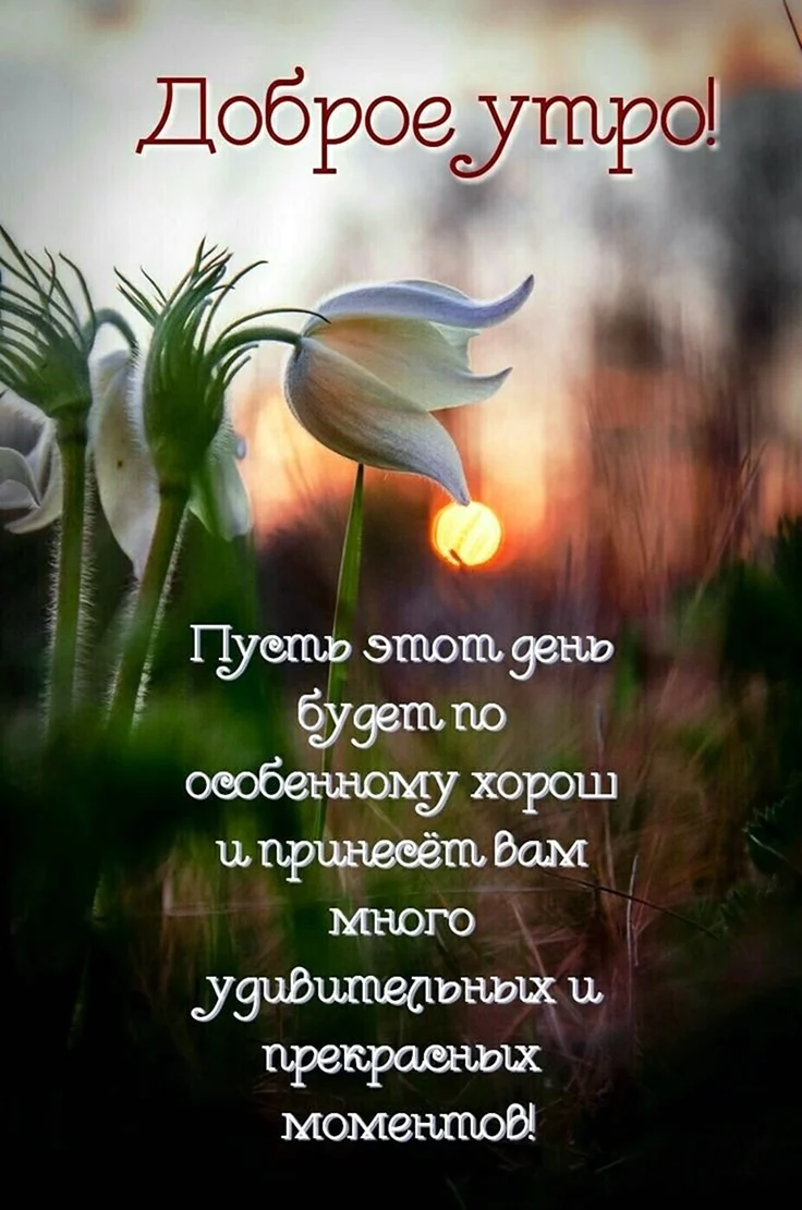 Доброе утро цитаты