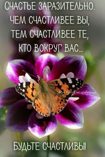 Доброе утро цитаты