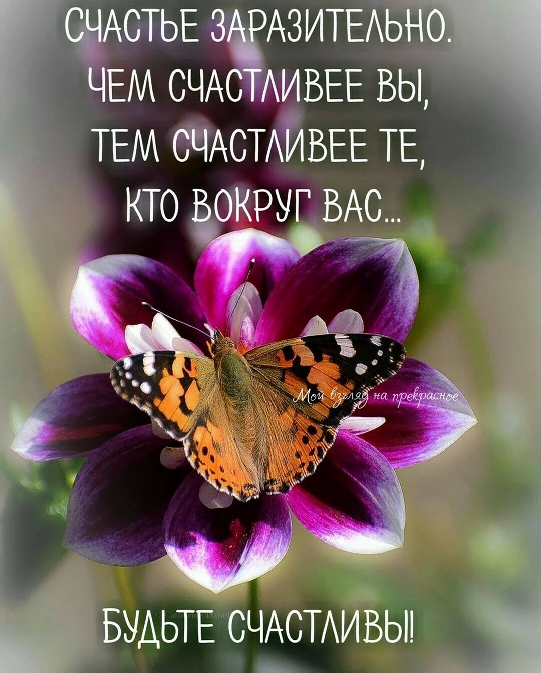 Доброе утро цитаты